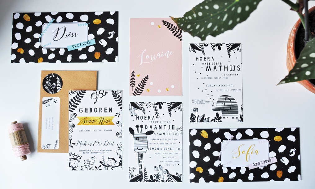 persbericht: lief leuk & eigen lanceert nieuwe collecties